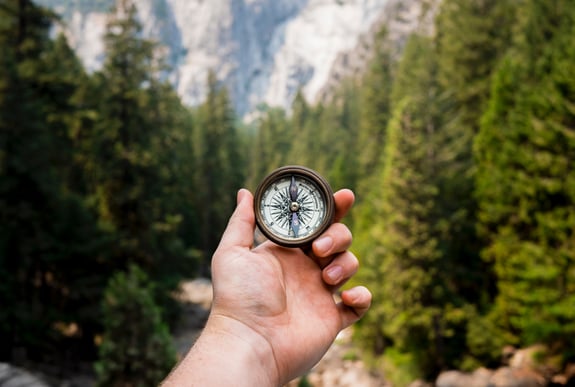 Compass in a Forest